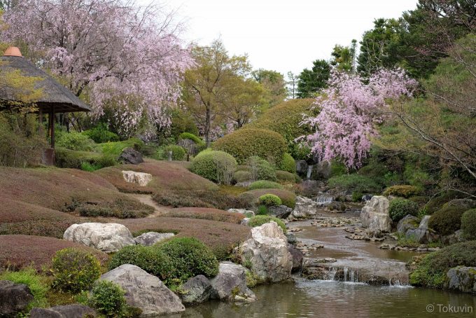 退蔵院 余香苑