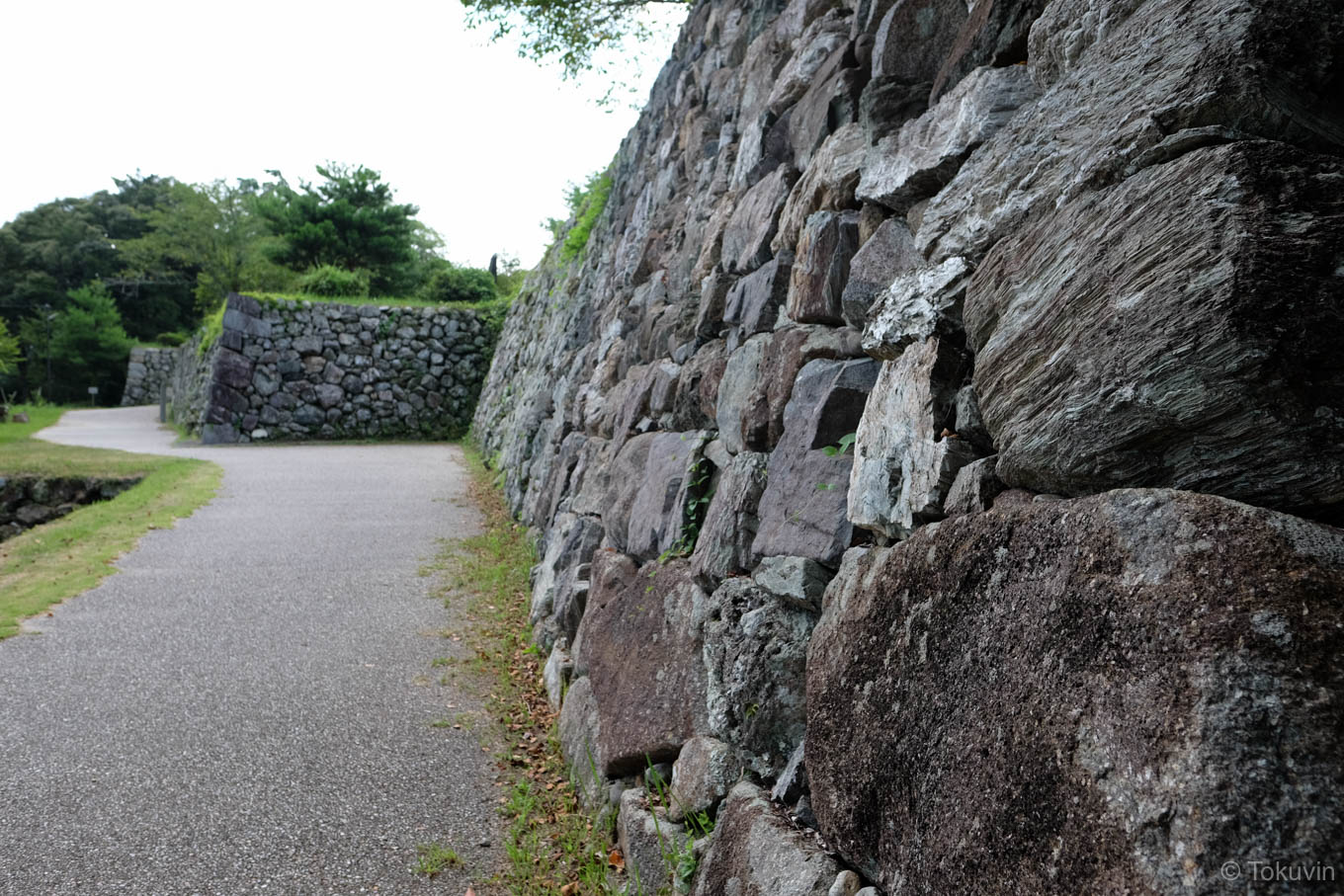 田丸城の石垣。