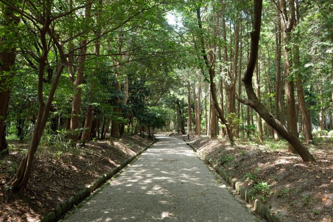 離宮院公園の歩道