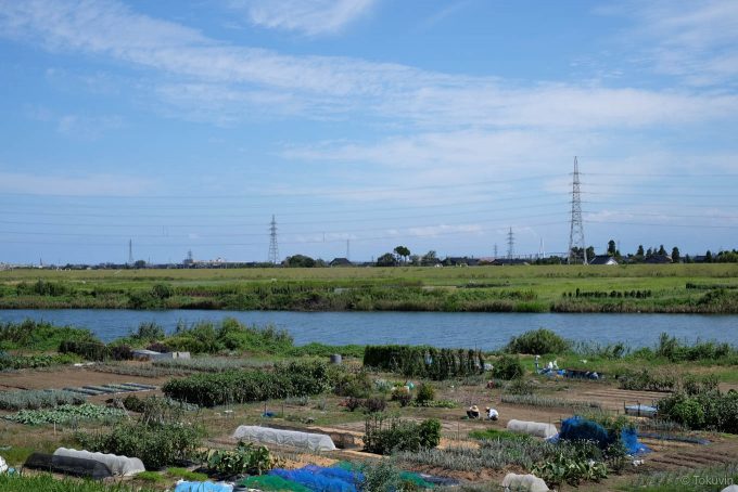 畑の広がる庄川河川敷
