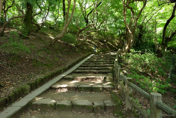 緑に囲まれた遊歩道