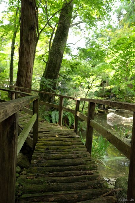 池の縁にかかる趣ある木橋
