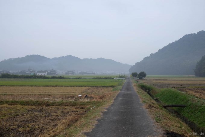 静かな田んぼ道を行く