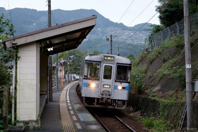 祖谷口駅に入線する琴平行き4238D