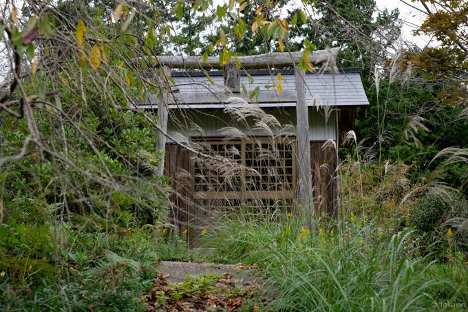 草木に埋もれる幸福神社