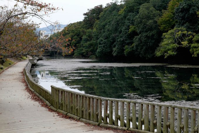外掘り沿いの南郷公園