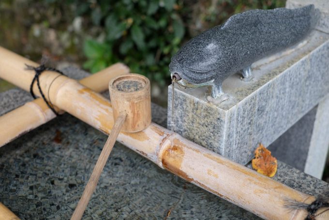 手水舎のなまずが目を引く