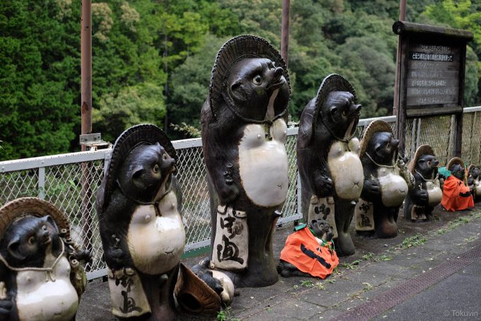 ホームに並ぶたぬき