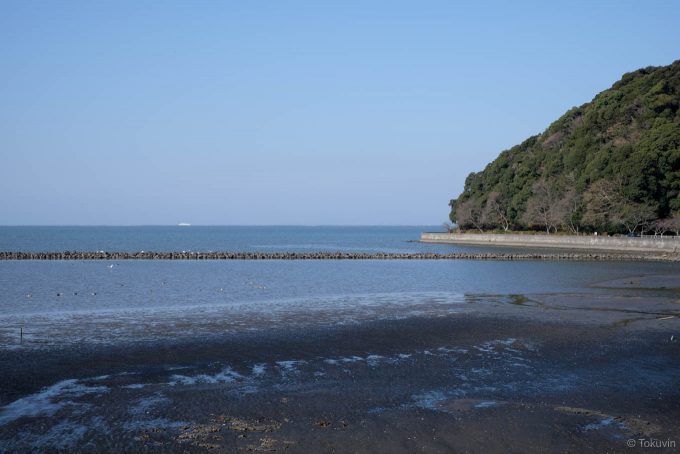 住吉自然公園と周囲に広がる干潟
