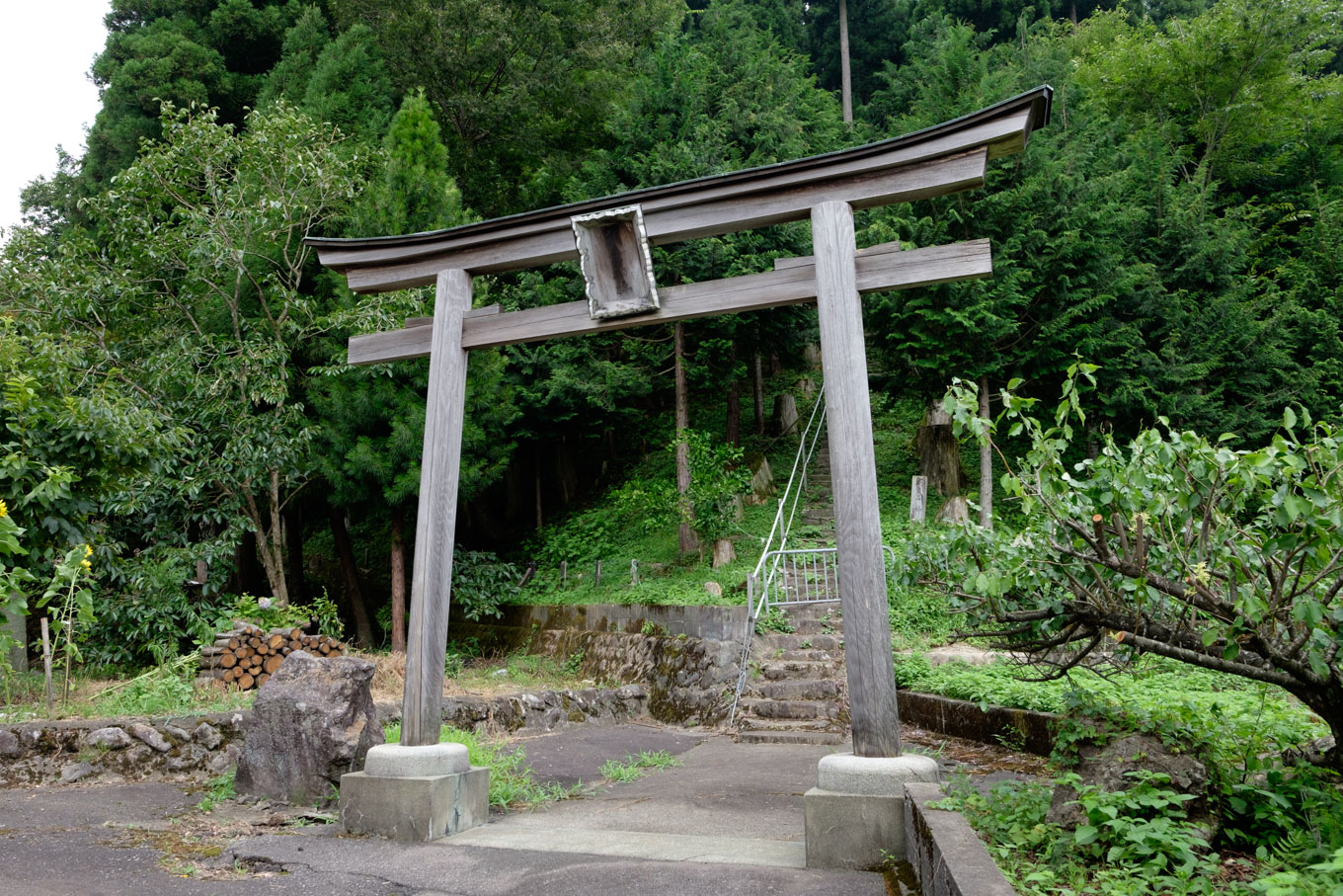 朝倉神社。