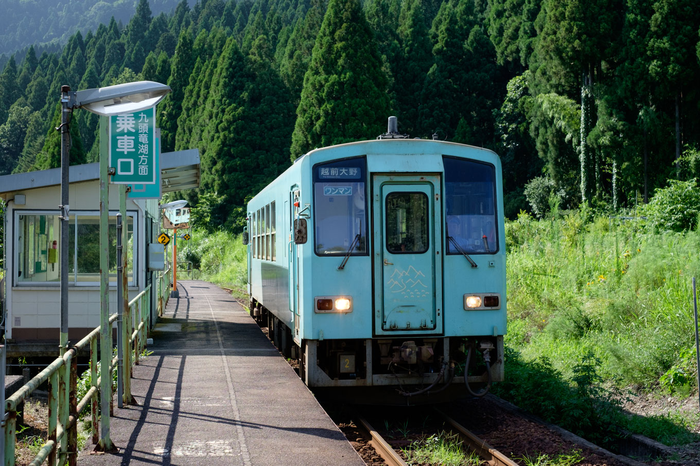 普通列車の越前大野行き 729D。