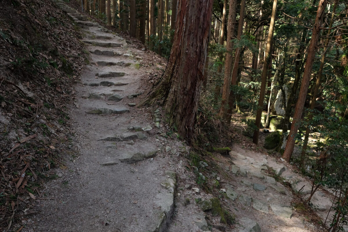 つづら折りに斜面を上がる参道。