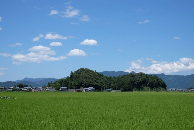 平野に浮かぶ城山 (FUJIFILM X-T1 + XF35mm F1.4R)