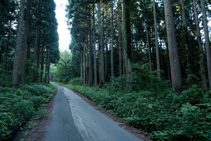 登山道へと続く道路 (FUJIFILM X-T1 + XF16mm F1.4R)