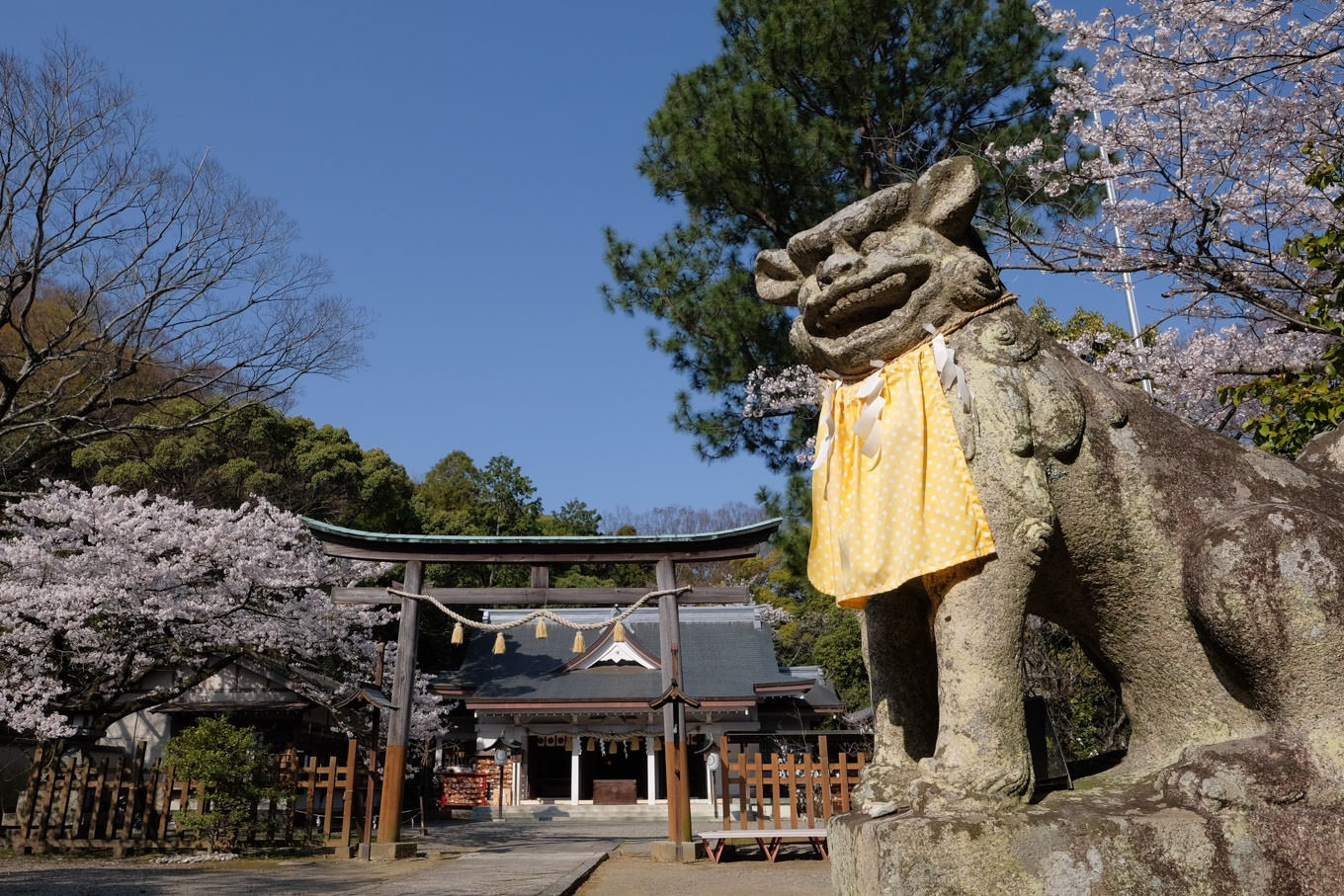 忌部神社の狛犬と拝殿。