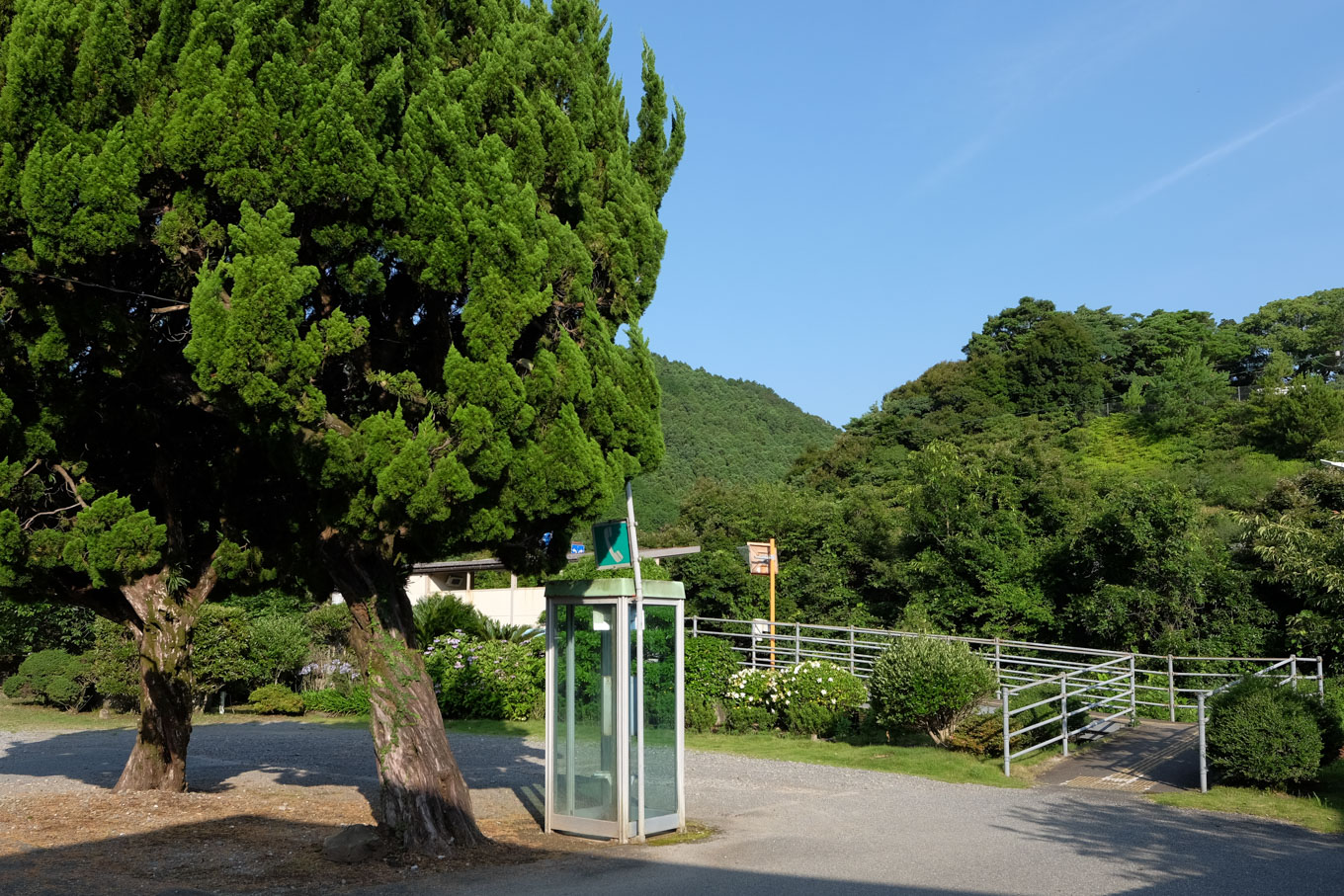 庭木と電話ボックスだけが残る駅舎跡。