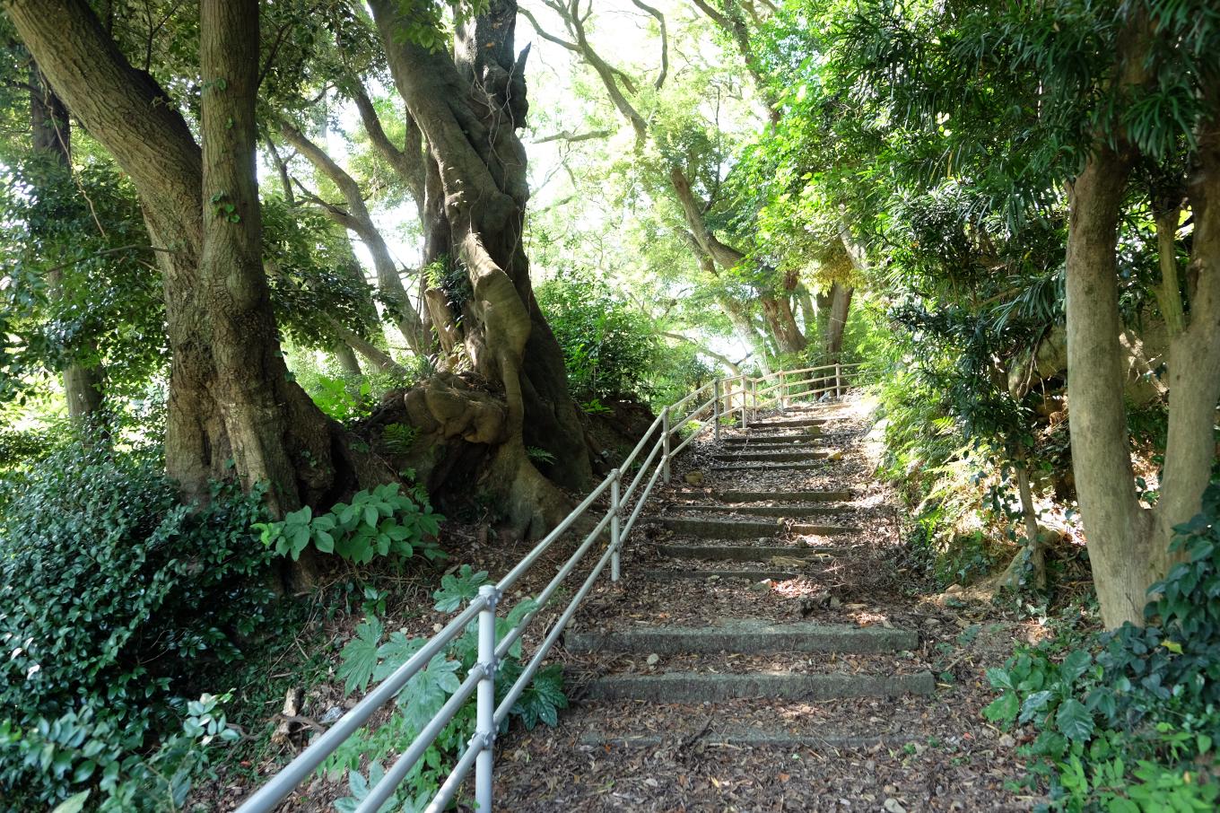 樹林のなかを伸びる日和山遊歩道。