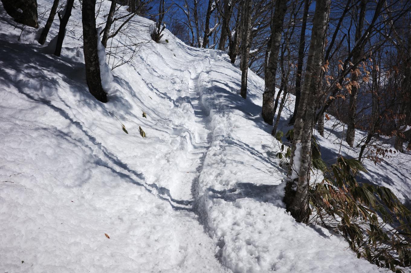 踏み固められた雪の登山道がつづく。