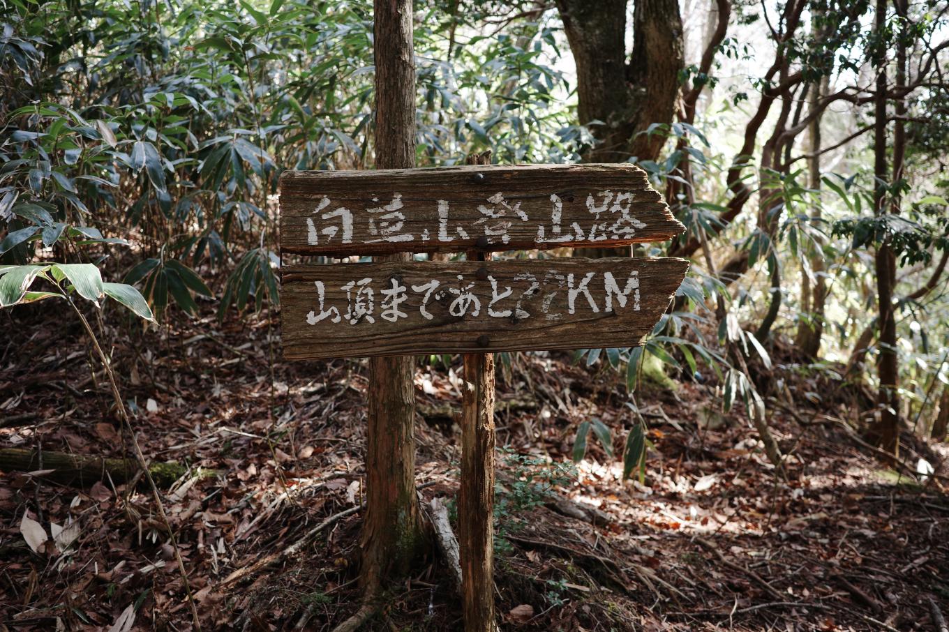 白草山登山路と記された木製の古めかしい標識。